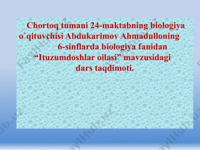 ituzumdoshlar oilasi — PPTX
