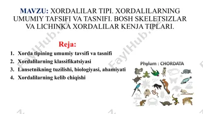 xordalilarning umumiy tafsifi va tasnifi — PPTX