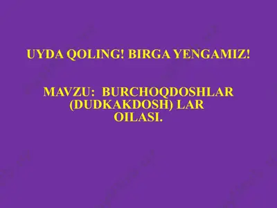 burchoqdoshlar (dukkakdosh) lar oilasi — PPTX