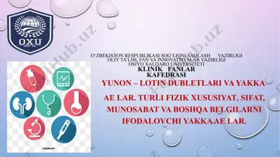 yunon – lotin dublеtlari va yakka ae lar. turli fizik xususiyat, sifat, munosabat va boshqa bеlgilarni ifodalovchi yakka ae lar. — PPTX
