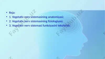 vegetativ nerv sistemasi haqida ma'lumotlar — PPTX
