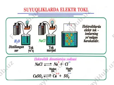 belbiki islohot — PPTX