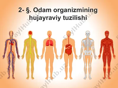 odam organizmining hujayraviy tuzilishi — PPTX