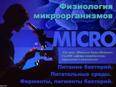 физиология микроорганизмов — PPTX