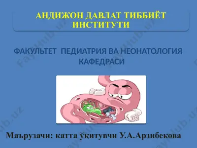 oshqozonni anatmik tuzilishi va oshqozon hajmi — PPTX