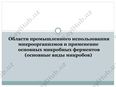 промышленное использование микроорганизмов и применение основных микробных ферментов — PPTX