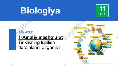 amaliy mashg‘ulot tiriklikning tuzilish darajalarini o‘rganish — PPTX
