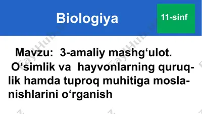 biologiya amaliy mashg'ulot — PPTX