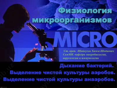 физиология микроорганизмов — PPTX