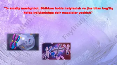 pomidor o‘simligida shoxlarining uzunligi va mevasining shakli bilan bog‘liq genetik hodisalar — PPTX
