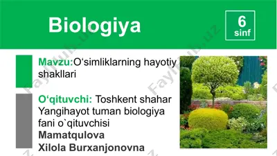 o‘simliklarning hayotiy shakllari — PPTX