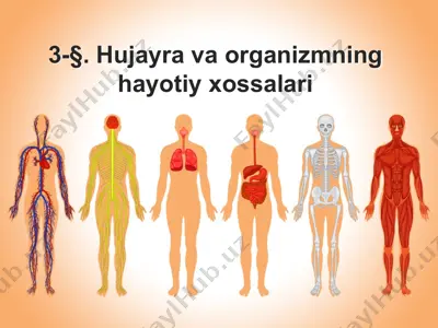 hujayra va organizmning hayotiy xossalari — PPTX