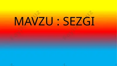 sezgilar — PPTX