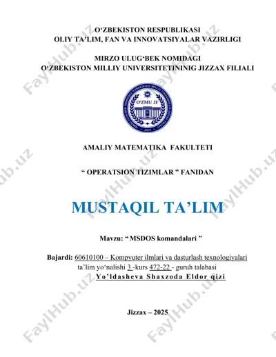 msdos komandalari — DOCX