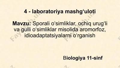laboratoriya mashg‘uloti — PPTX