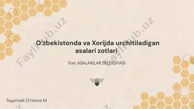 asalari zotlari — PPTX