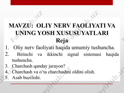 oliy nerv faoliyati va uning yosh xususiyatlari — PPTX
