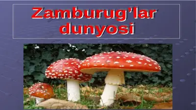 zamburug‘lar — PPTX
