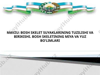 bosh skelet suyaklarining tuzilishi va birikishi — PPTX