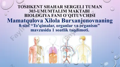 biologiya 8-sinf qo'lima "to'qimalar, organlar va organism" mavzusida taqdimot — PPTX