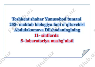 biologiya fanida umurtqali hayvonlar misolida aromorfoz va idiodaptatsiyalar — PPTX