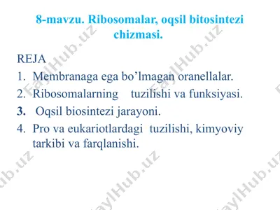 ribosomalar, oqsil bitosintezi chizmasi — PPTX