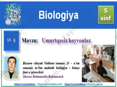 hayvonlar haqida ma'lumotlar — PPTX