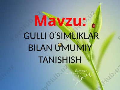 gulli 0`simliklar bilan umumiy tanishish — PPTX
