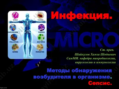 инфекция. методы обнаружения возбудителя в организме. сепсис. — PPTX
