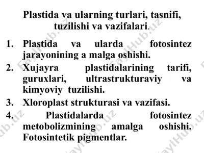 plastida va ularning turlari, tasnifi, tuzilishi va vazifalari — PPTX