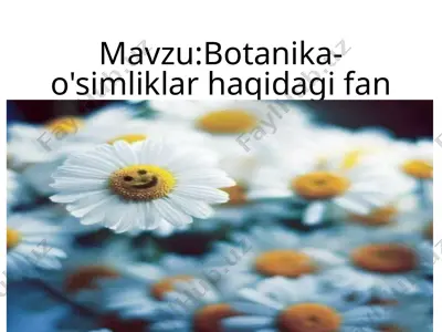 botanika-o'simliklar haqidagi fan — PPTX