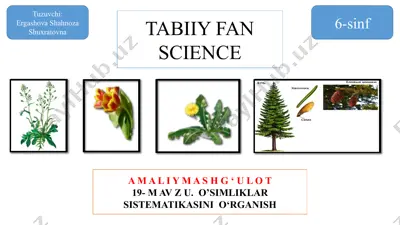 o'simliklar sistematikasini o'rganish — PPTX