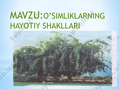 o'simliklarning hayotiy shakllari — PPTX