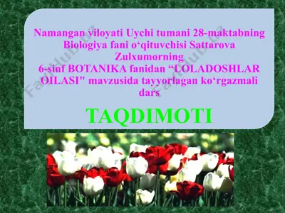 "loladoshlar oilasi" — PPTX