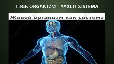 tirik organizm – yaxlit sistema — PPTX