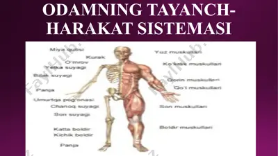 odamning tayanch-harakat sistemasi — PPTX