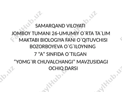 yomg'ir chuvalchangi mavzusidagi ochiq darsi — PPTX