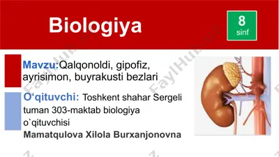 qalqonoldi bezlari haqida ma'lumotlar — PPTX