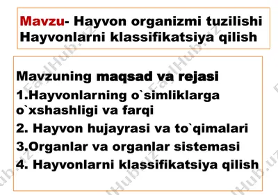 hayvon organizmi tuzilishi — PPTX
