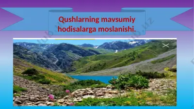 qushlarning mavsumiy hodisalarga moslanishi — PPTX