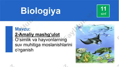 2-amaliy mashg‘ulot o‘simlik va hayvonlarning suv muhitiga moslanishlarini o‘rganish — PPTX