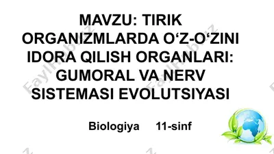 tirik organizmlarda o‘z-o‘zini idora qilish organlari: gumoral va nerv sistemasi evolutsiyasi — PPTX