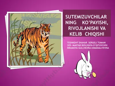 sutemizuvchilar ni ng   ko’payishi, rivojlanishi va kelib  chiqishi — PPTX