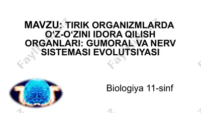 tirik organizmlarda o‘z-o‘zini idora qilish organlari: gumoral va nerv sistemasi evolutsiyasi — PPTX