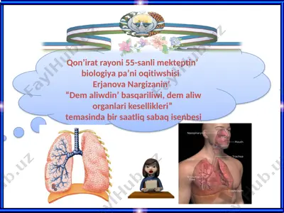 qon’irat rayoni 55-sanli mekteptin’ biologiya pa’ni oqitiwshisi — PPTX