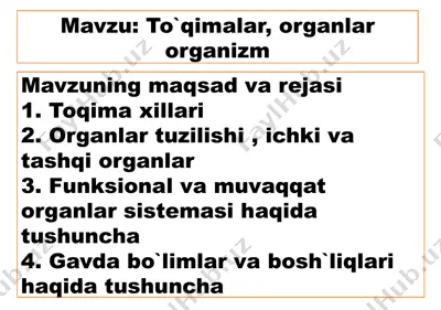 to`qimalar, organlar organizm mavzusida ma'ruzalar — PPTX