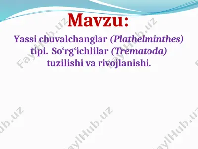 yassi chuvalchanglar (plathelminthes) tipi. so‘rg‘ichlilar (trematoda) tuzilishi va rivojlanishi — PPTX