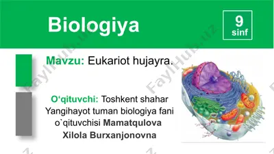 eukariot hujayra — PPTX