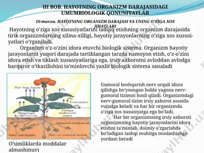 organizm darajasidagi umumbiologik qonuniyatlar — PPTX