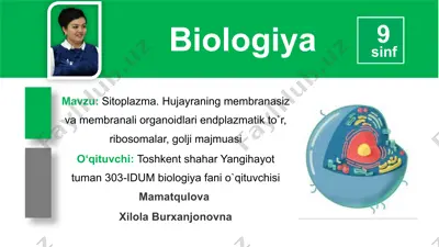sitoplazma. hujayraning membranasiz va membranali organoidlari endplazmatik to`r, ribosomalar, golji majmuasi — PPTX